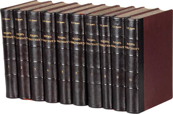 Брэм [Брем] А.Э. Иллюстрированное издание «Жизнь животных». В десяти томах. . СПб., 1893-1896.